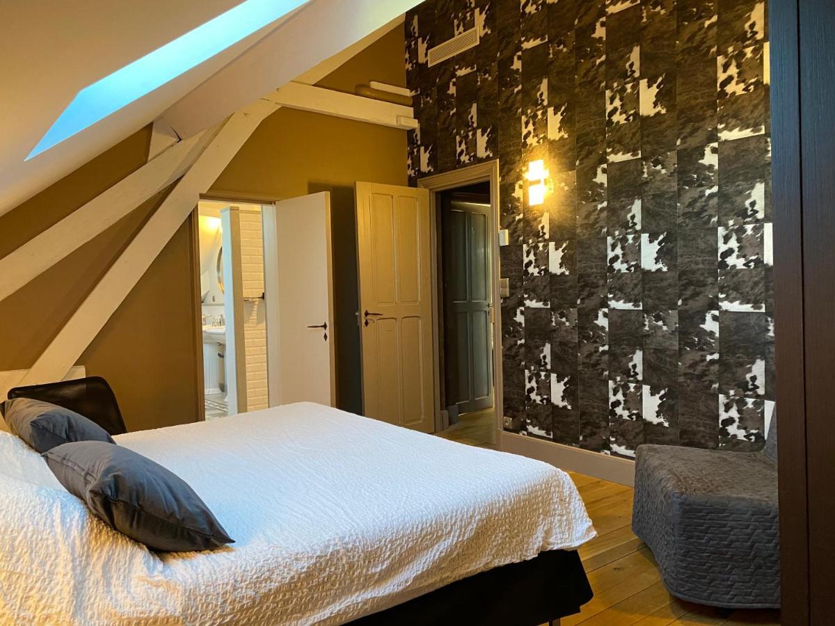 Demeure Saint Louis Historic Manor, City 700M, Parking,A C,Clim,Wifi, Heated Pool, City View Carcassonne Luaran gambar