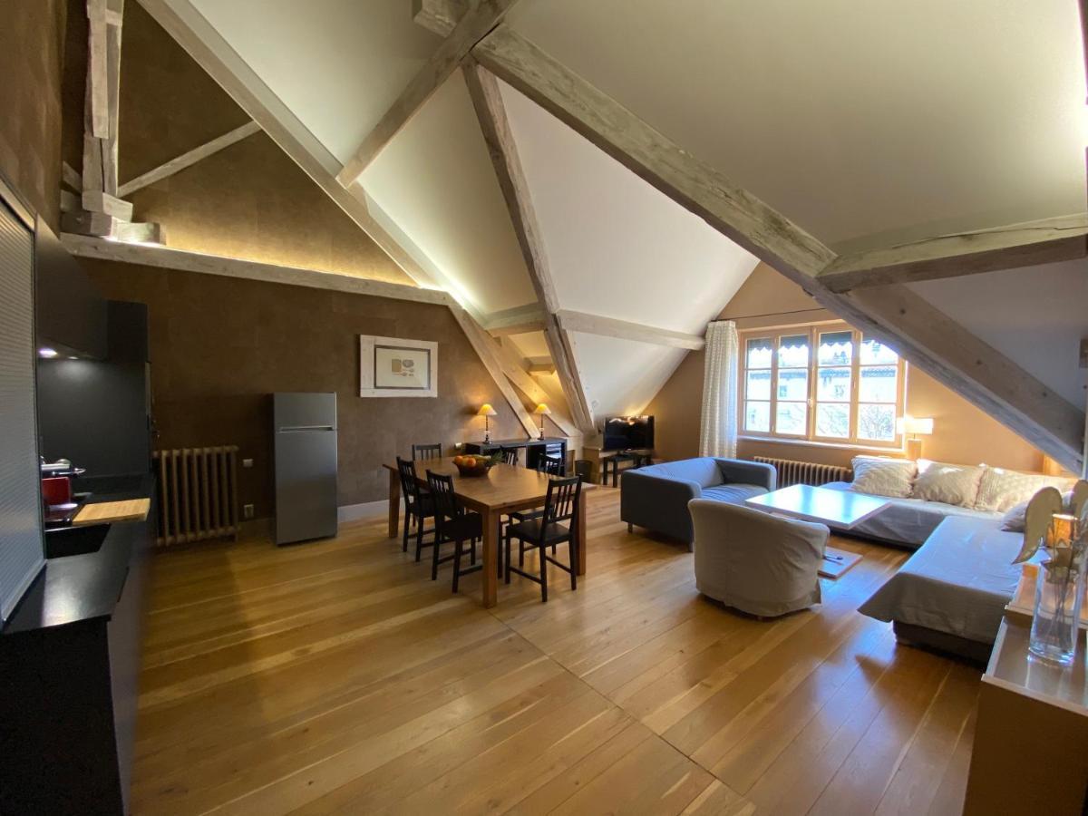 Demeure Saint Louis Historic Manor, City 700M, Parking,A C,Clim,Wifi, Heated Pool, City View Carcassonne Luaran gambar