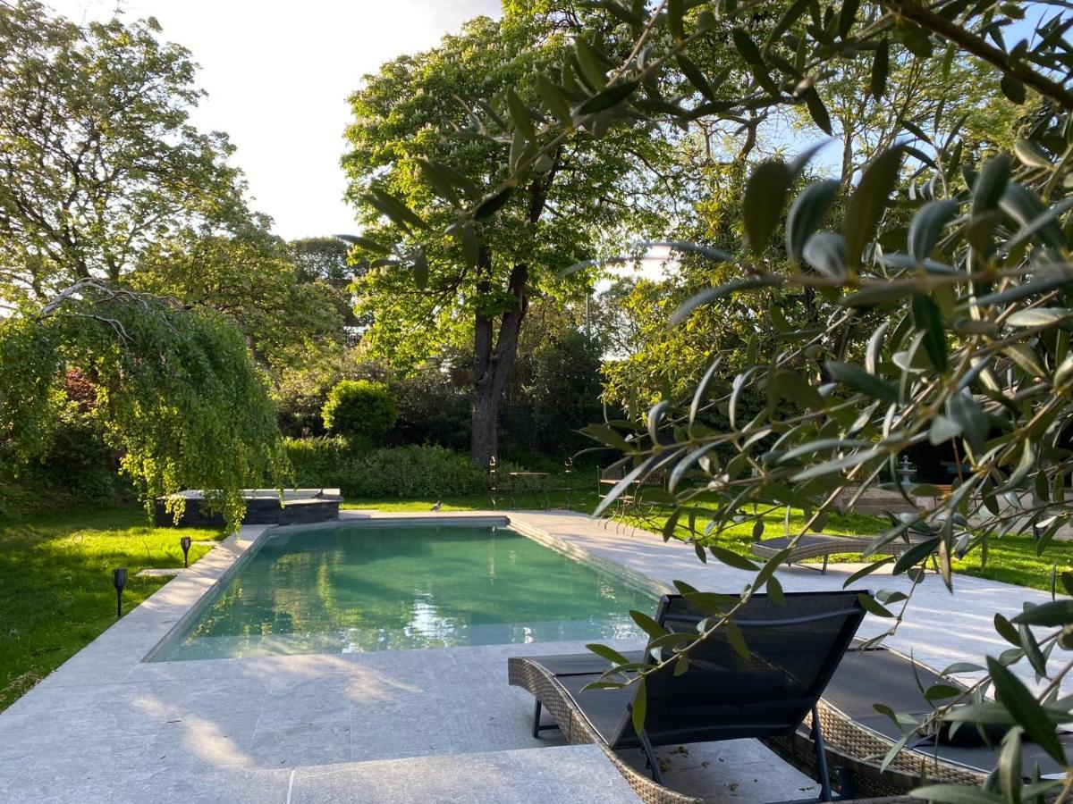 Demeure Saint Louis Historic Manor, City 700M, Parking,A C,Clim,Wifi, Heated Pool, City View Carcassonne Luaran gambar